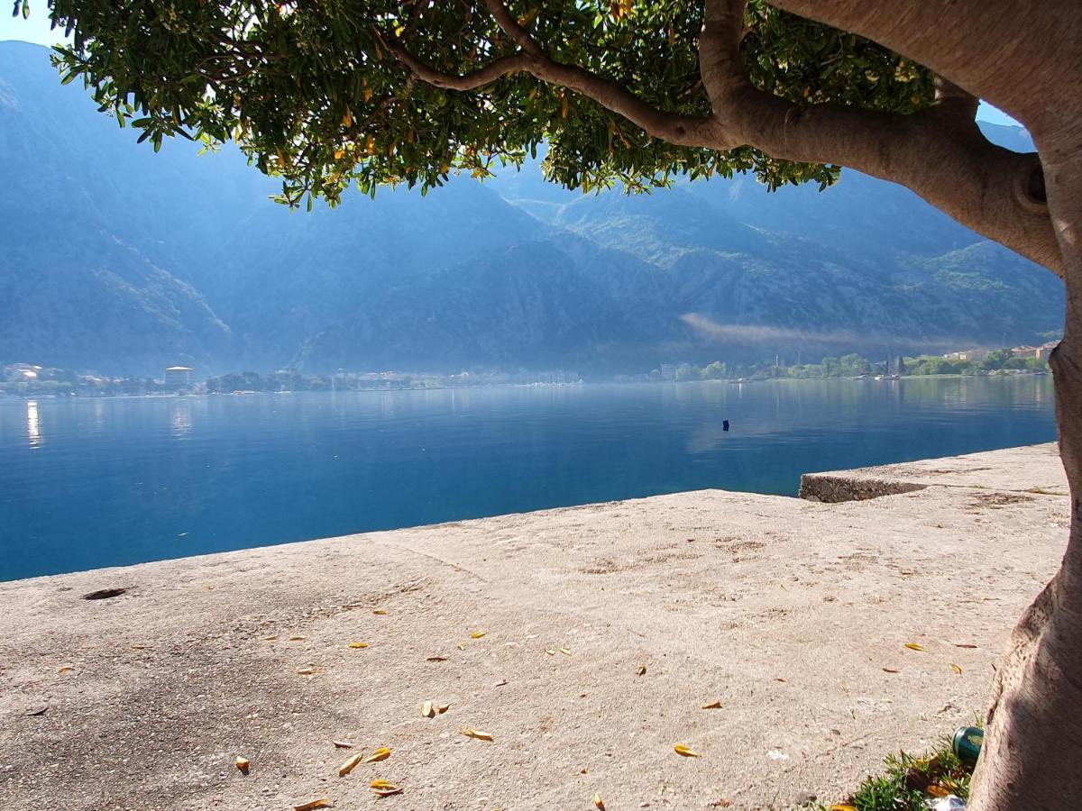 Apartman Pontica Kotor Exterior photo