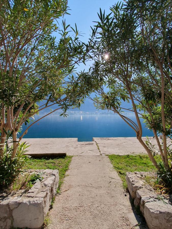 Apartman Pontica Kotor Exterior photo