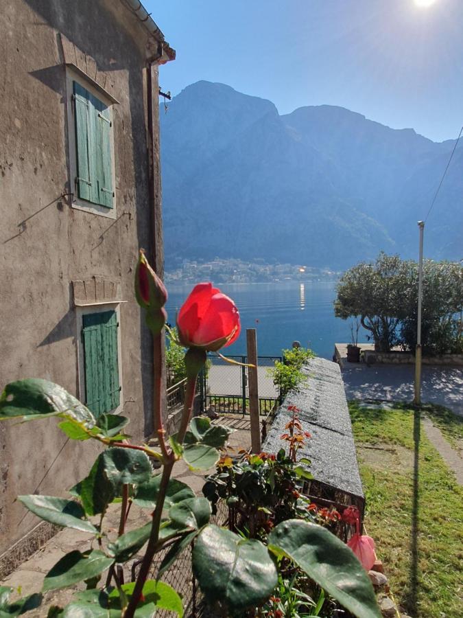 Apartman Pontica Kotor Exterior photo